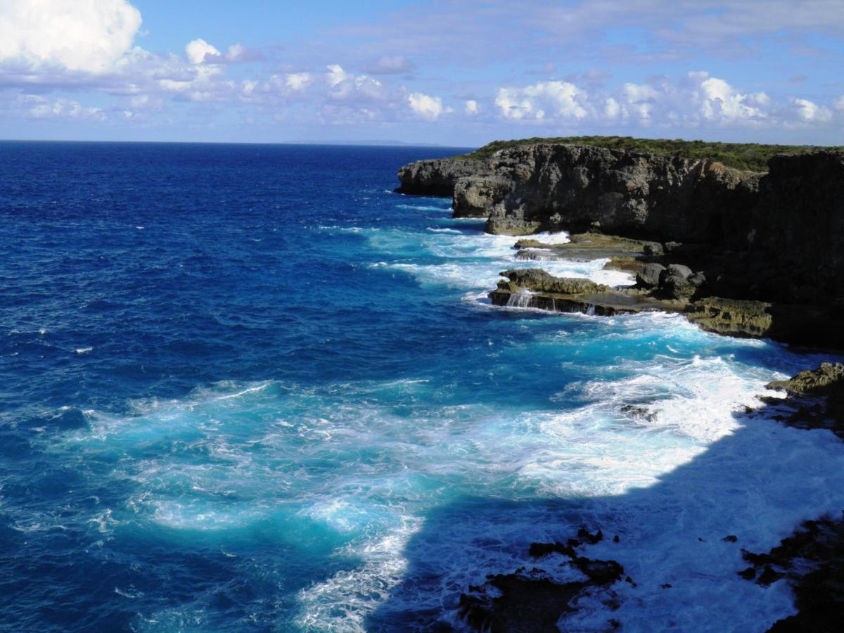Caraibes Cottages Corail Piscine Privee A 900M De La Plage De Grande Anse Deshaies Esterno foto