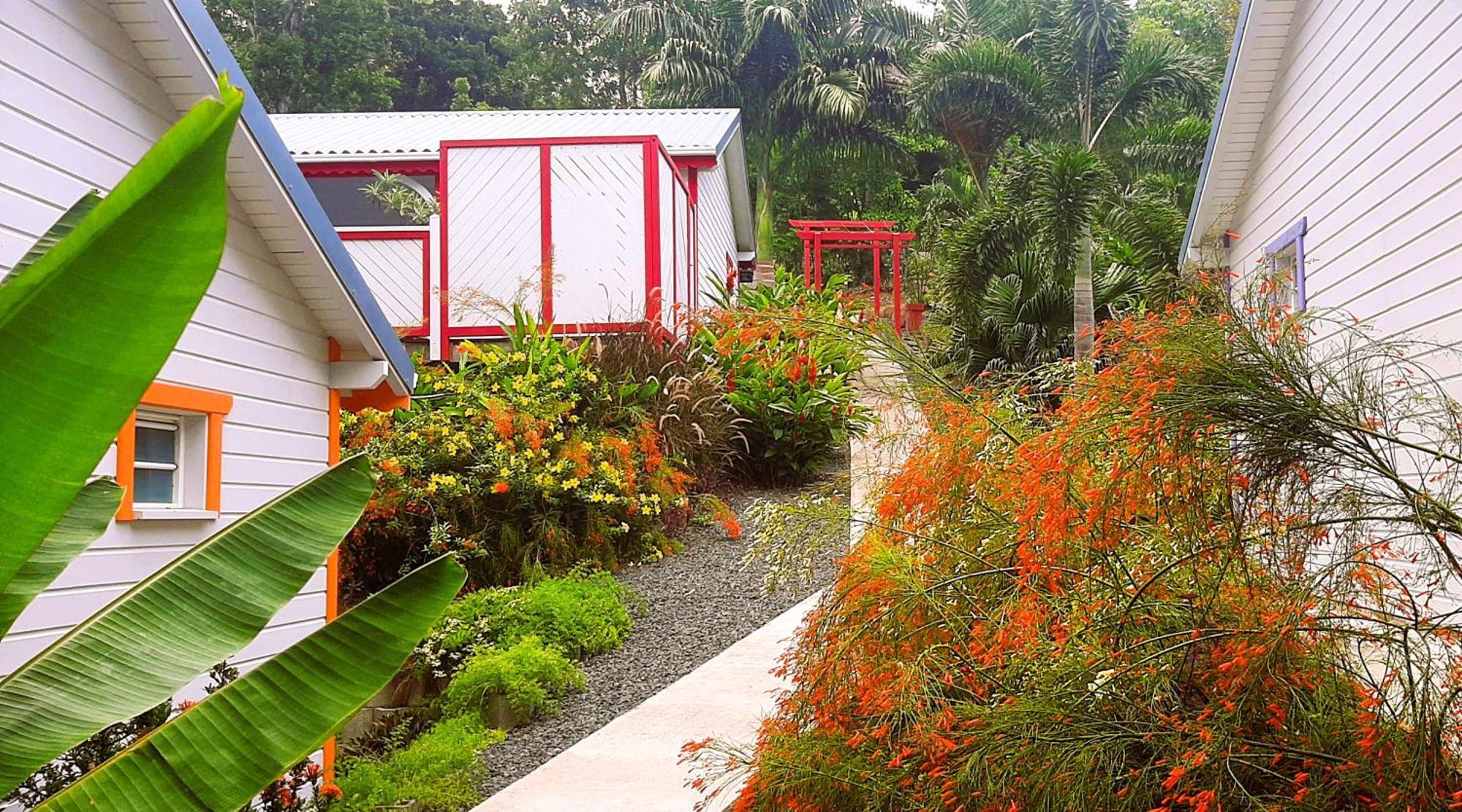 Caraibes Cottages Corail Piscine Privee A 900M De La Plage De Grande Anse Deshaies Esterno foto